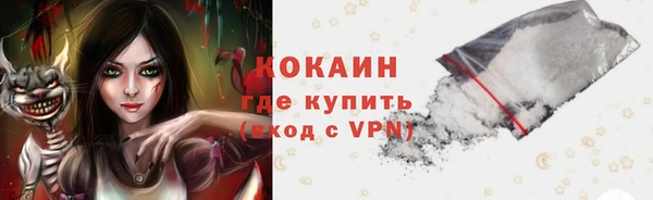 бошки Каменногорск