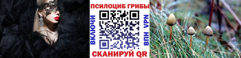 Галлюциногенные грибы прущие грибы  Купить закладки  Калач-на-Дону 